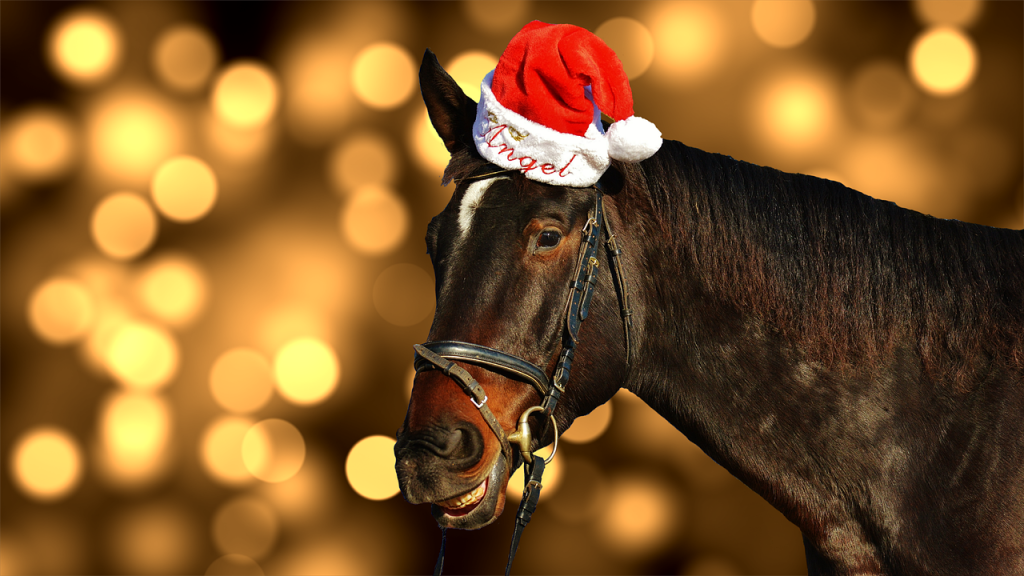horse, christmas, santa hat-1886977.jpg