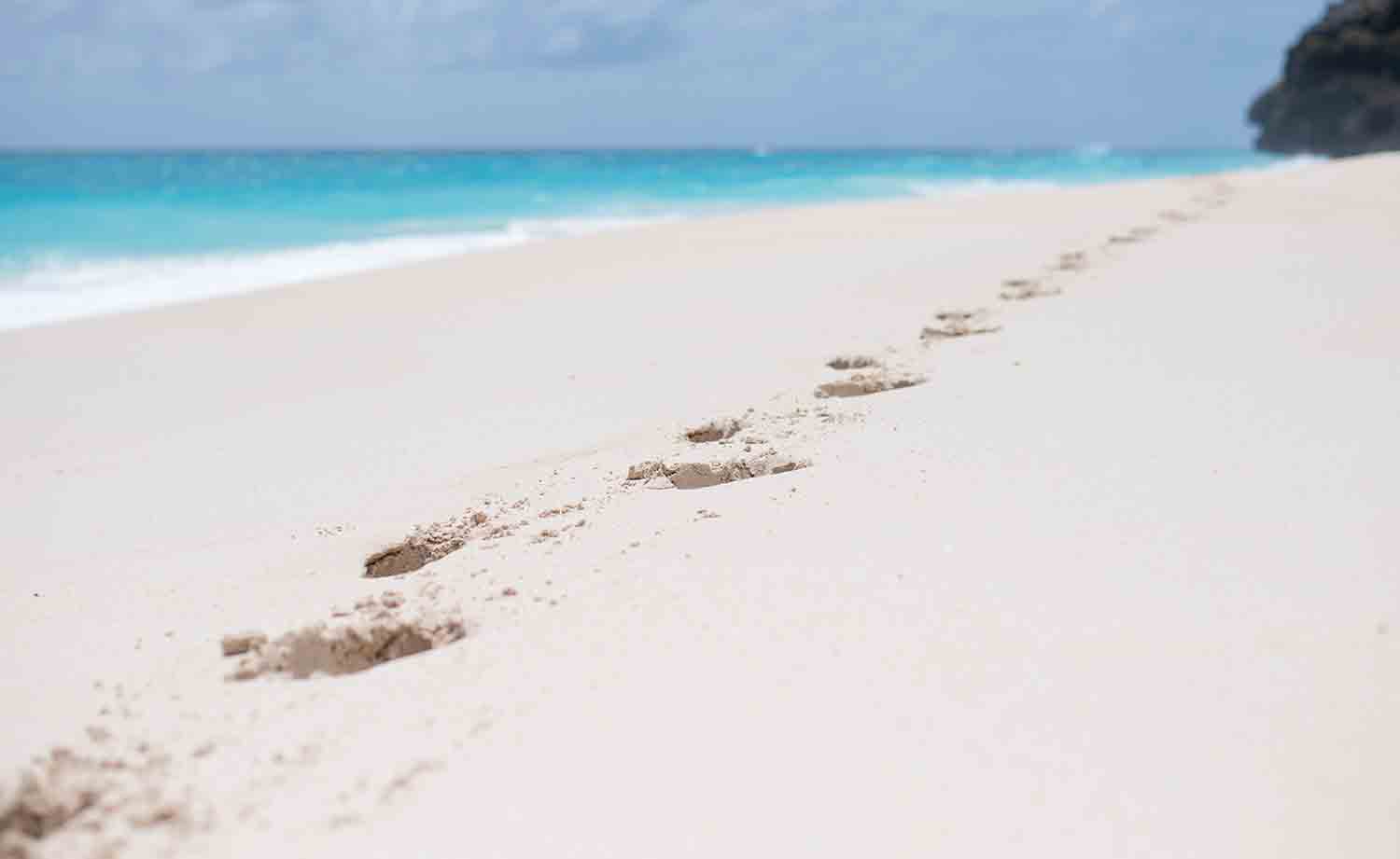 https://usercontent.one/wp/www.natalieandmaxphotofilms.com/wp-content/uploads/2021/05/Algrave-Wedding-Photographers-Walking-along-the-beach.jpg?media=1694090319