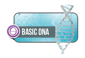 ThetaHealing® Basic DNA