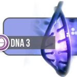 ThetaHealing® DNA3