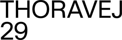 T29_BLACK_RGB_mini