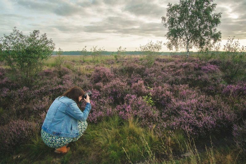 Snelle fotografie tips voor mooie foto's