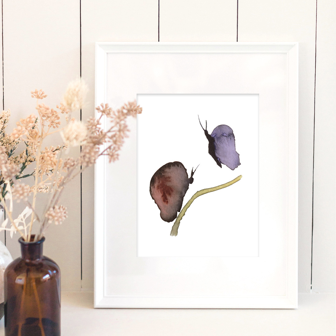 nature-illustrations-giclee-fine-art-print-collection-nathalie-bonte-nbontestudio-butterflies-96