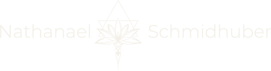 Logo Nathanael Schmidhuber