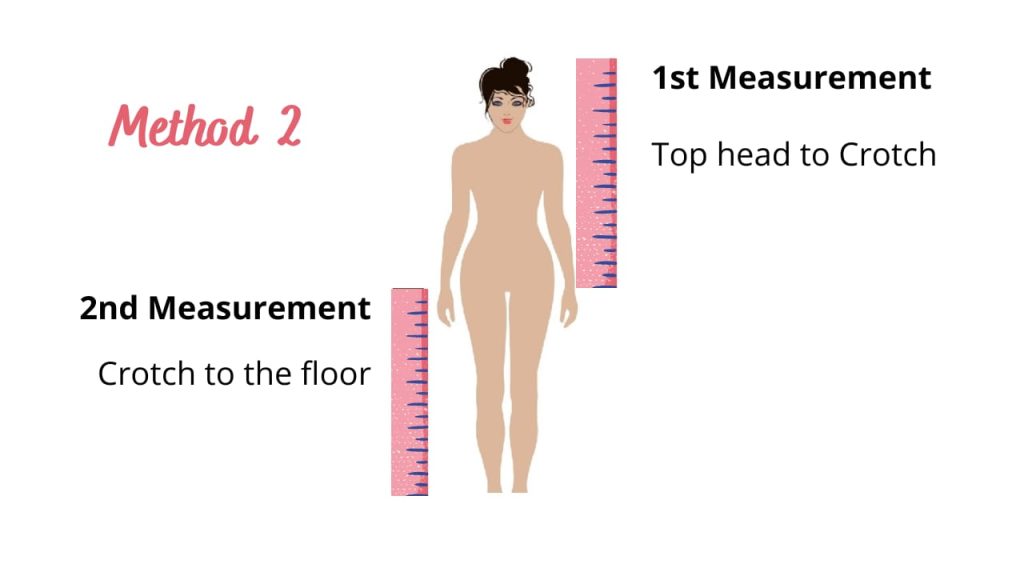 Torso Measurement