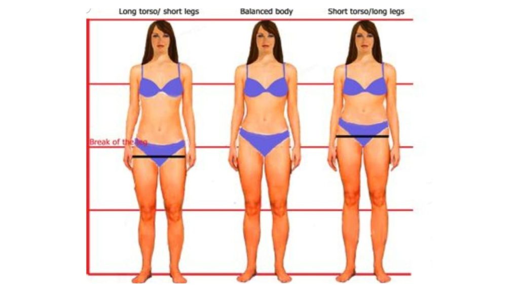 How to tell if you are short or long waisted – NatNolan Image