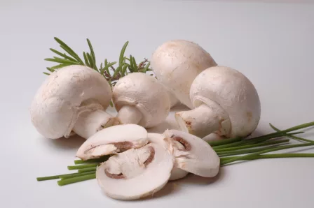 Funghi champignon utili contro il diabete e per il controllo della glicemia