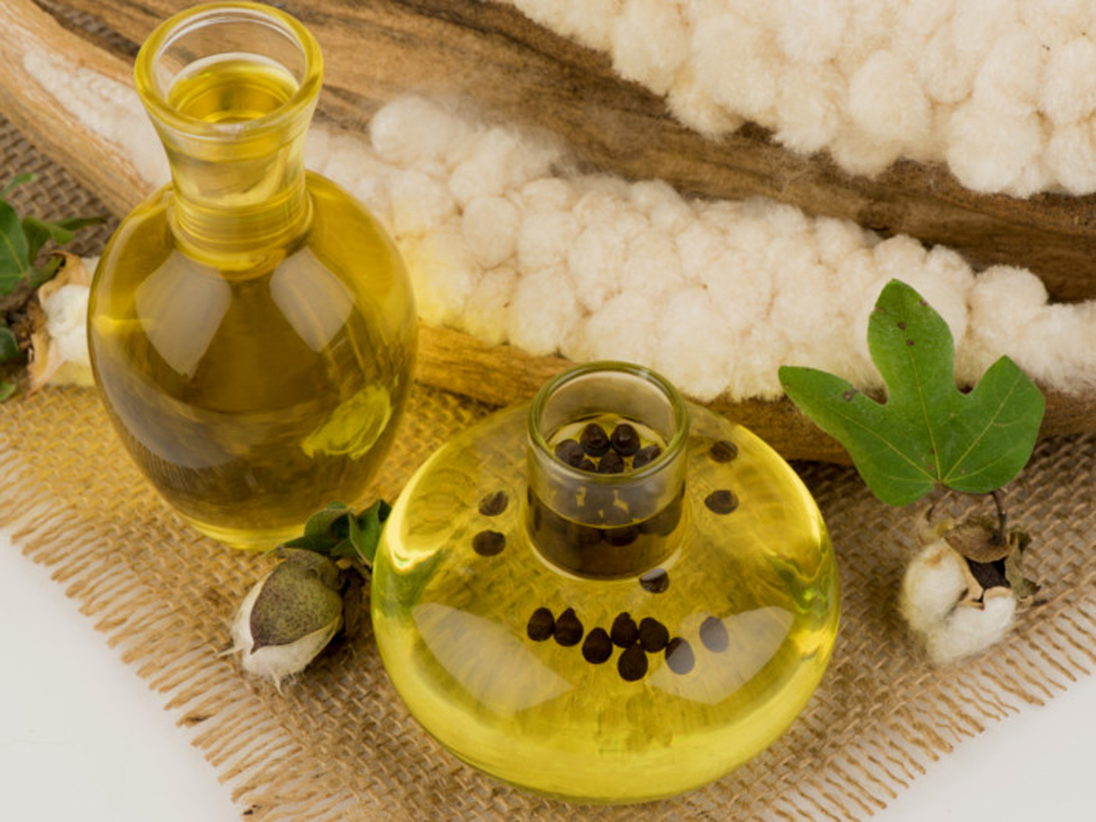 L'olio di semi di cotone è utile per ridurre il colesterolo L'olio di semi di cotone è utile per ridurre il colesterolo