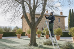Tra i lavori da fare in giardino a gennnaio abbiamo le potature