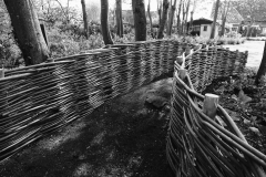 Verbinding tussen boomgaard en tuin, middenin een prachtige hortensiaborder