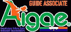 logo guide associate AIGAE