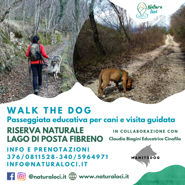 Walk The Dog