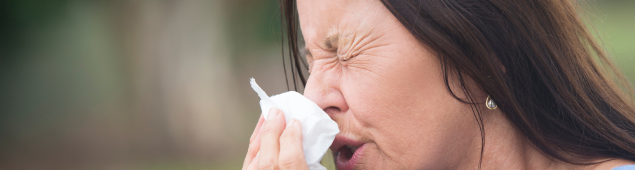 hayfever, høfeber, allergi, forår