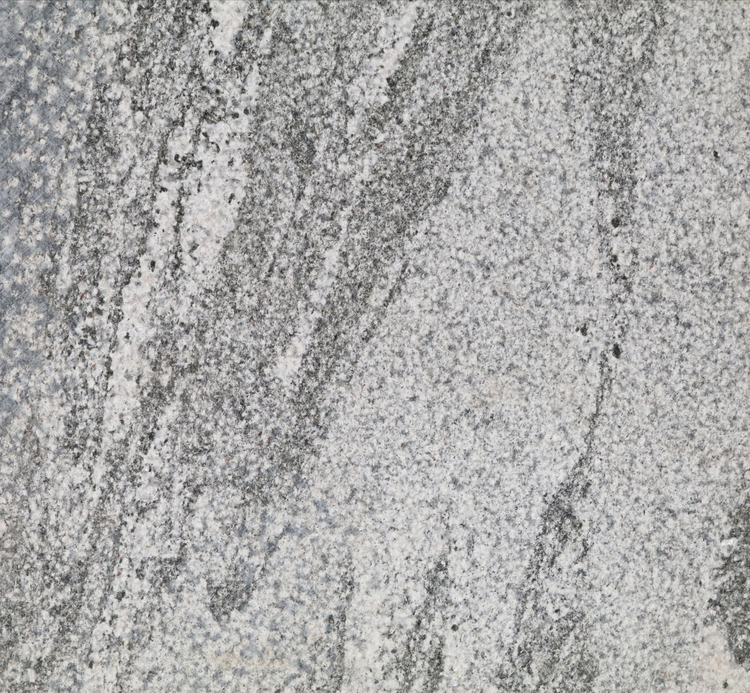 Skogsfjorden granit closeup