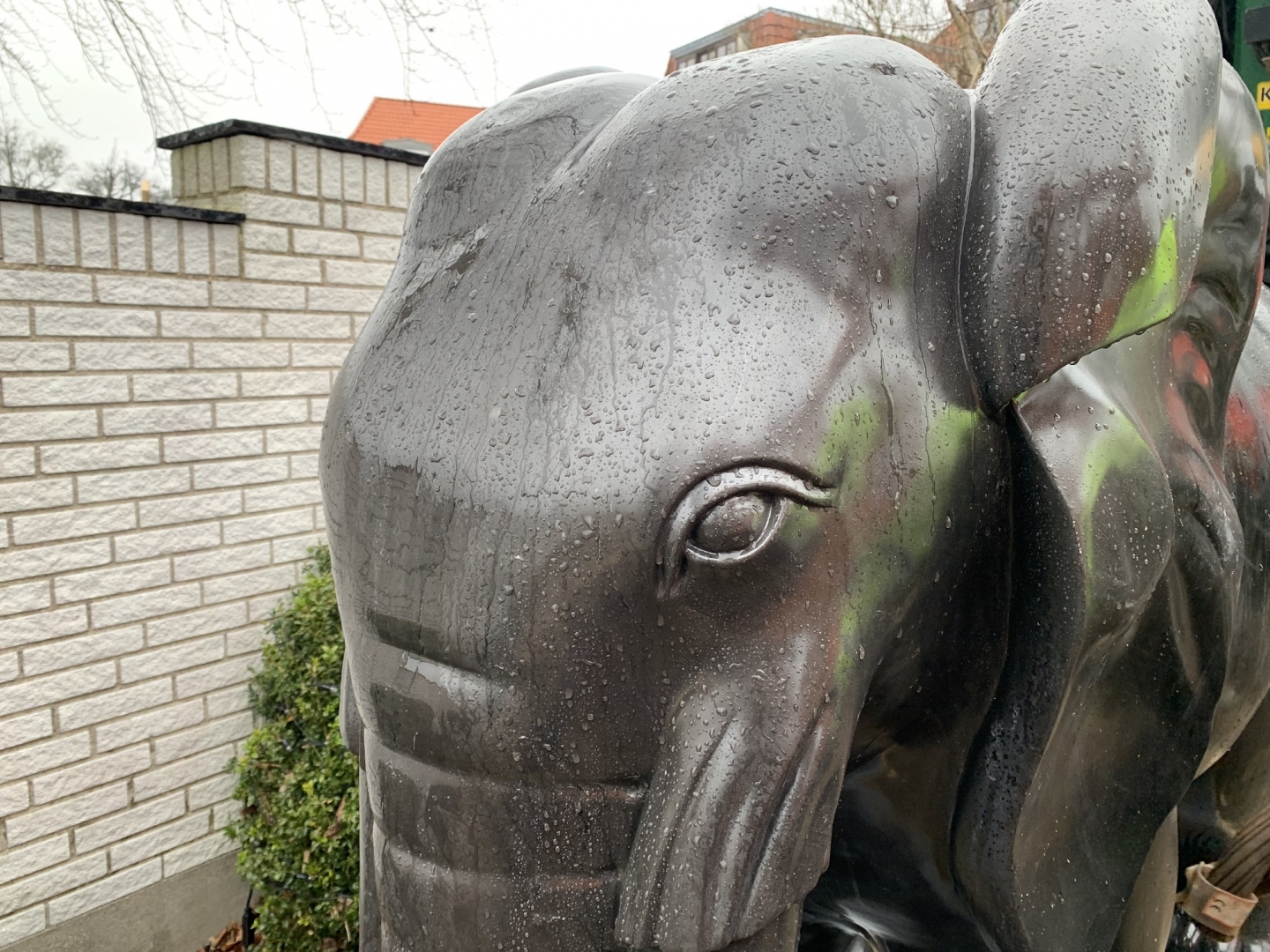 Granit elefanter close up