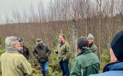 Deltagare visar sina skogar med biotopskarteringen som grund