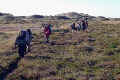 Lønstrup-Skagen.-Ind-over-Skagens-Odde.