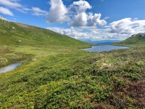 Toppen af Vegglifjell i Telemark, Norge