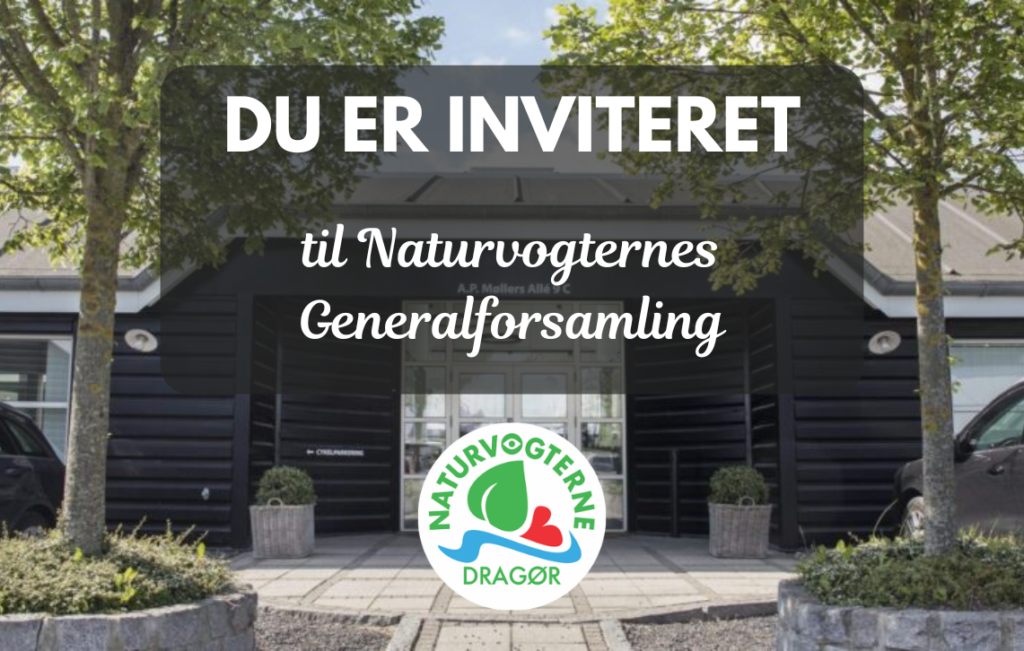 DU ER INVITERET