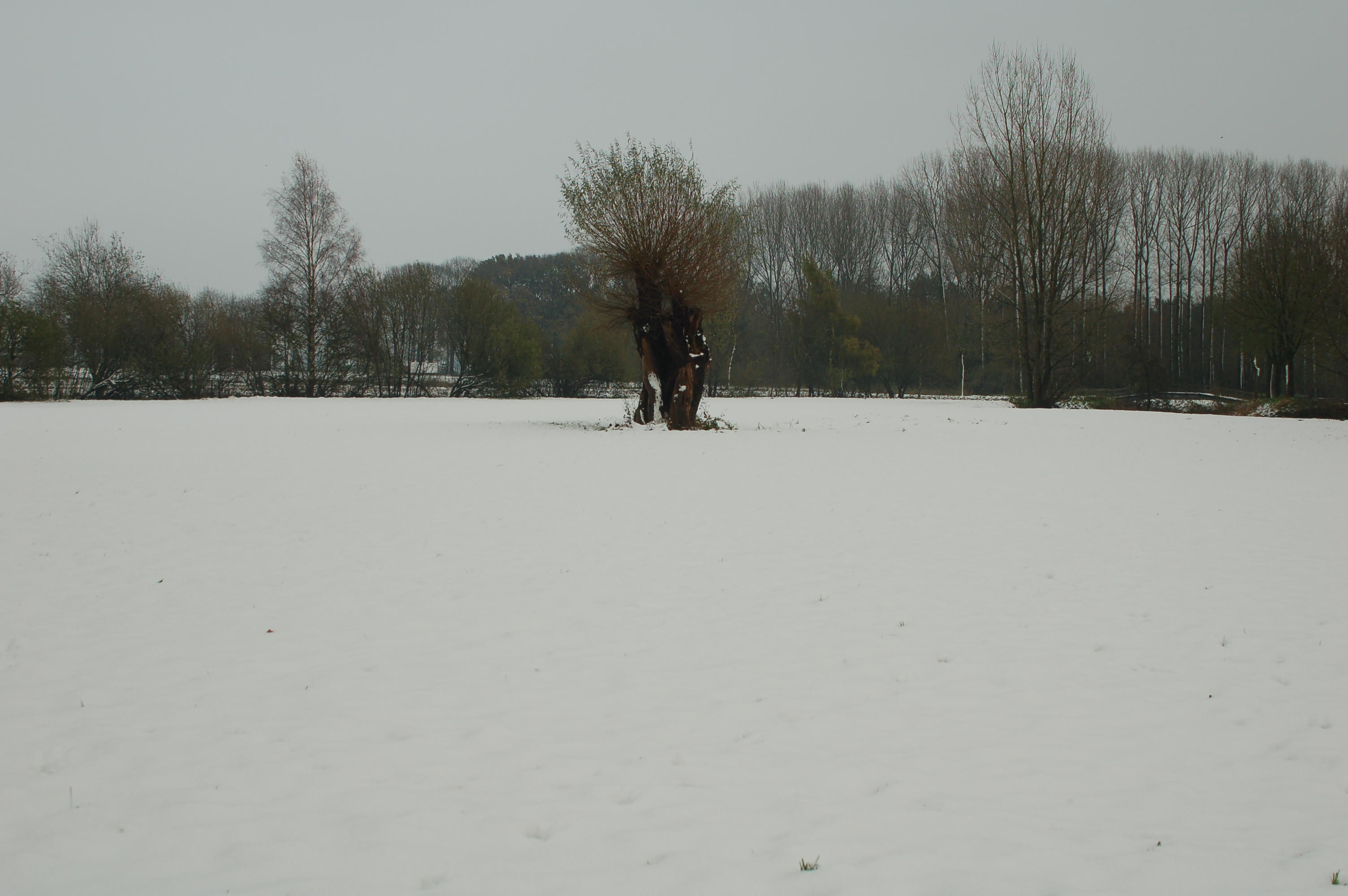 2005-11-26 paterswiel in de sneeuw 002