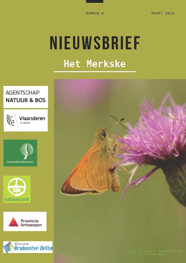 Nieuwsbrief nr 6 - Het Merkske