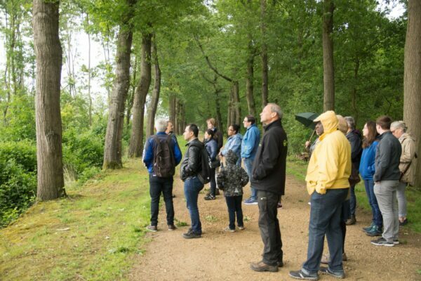 Vroege vogelwandeling