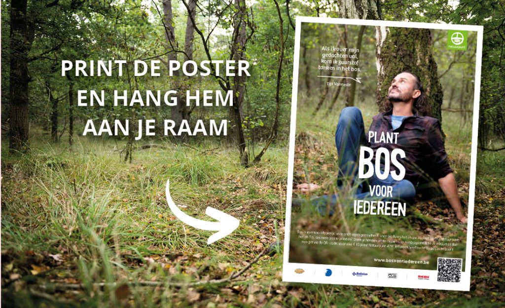 Print de poster en hang hem aan je raam