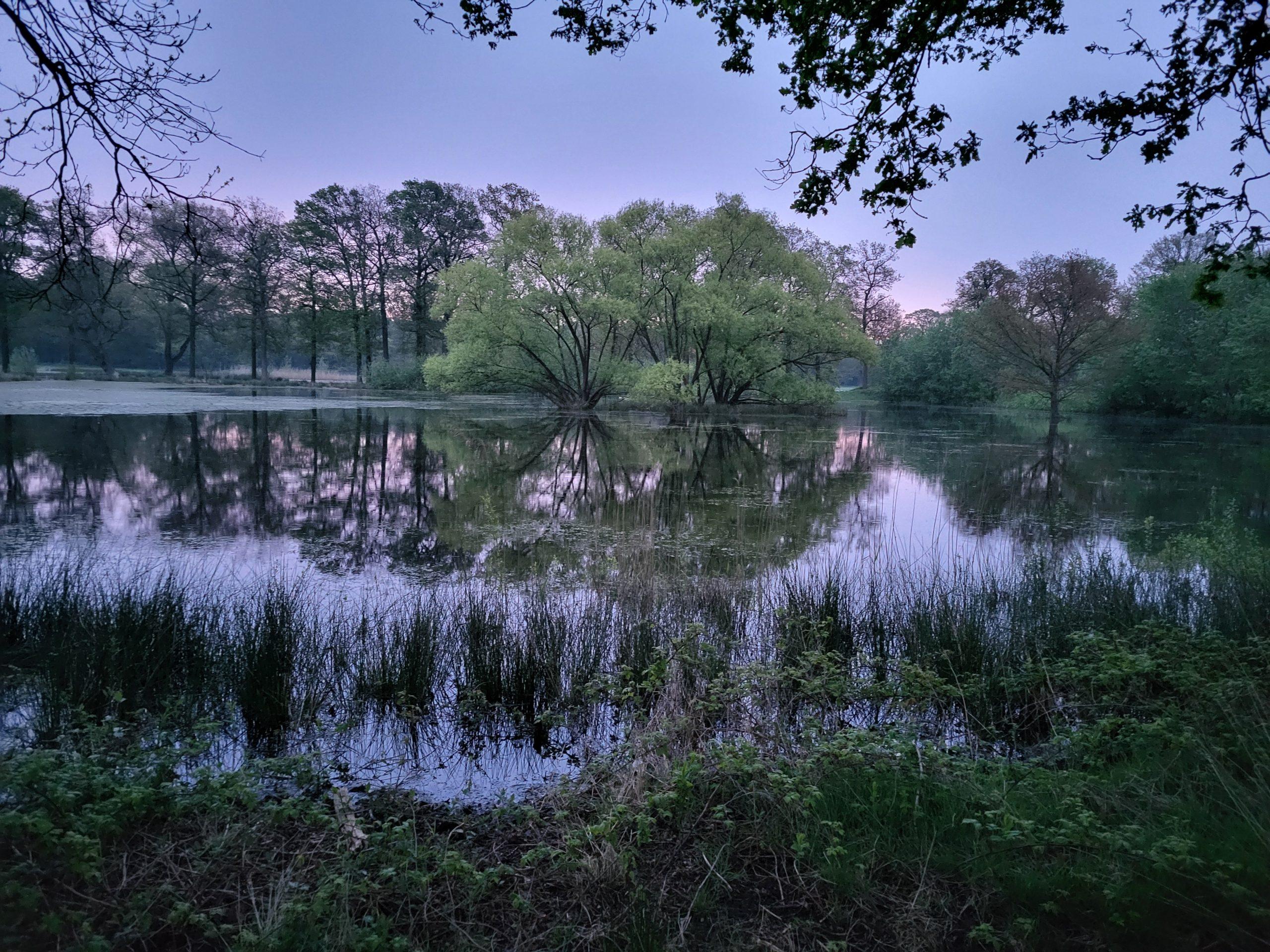 Langven – Lieve Hufkens