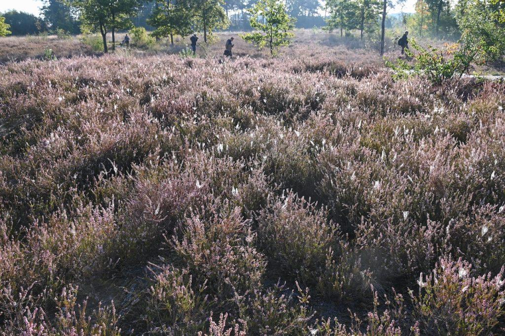 Foto-excursie Zwart Goor