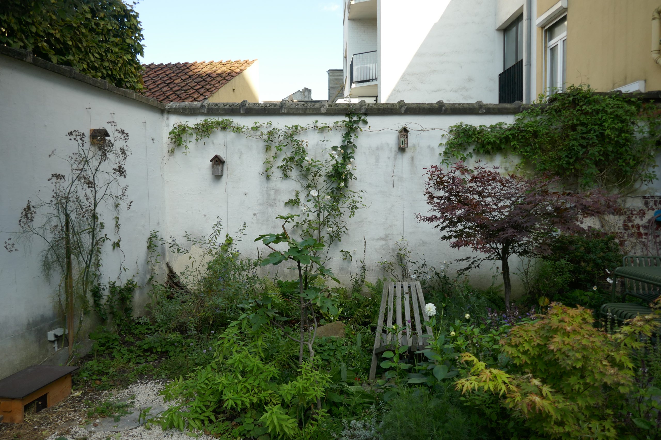 P1160246