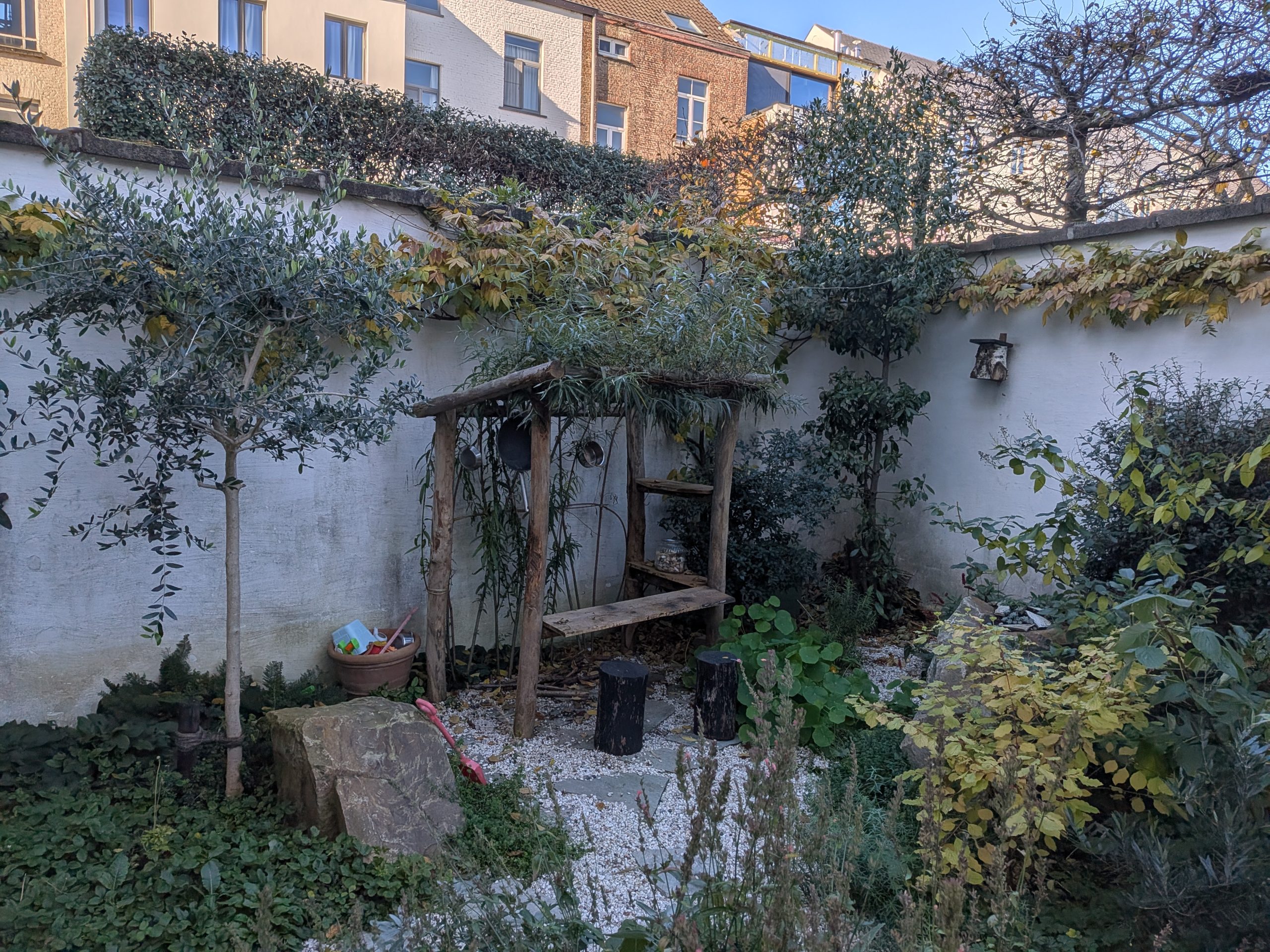 PXL_20251112_094418072