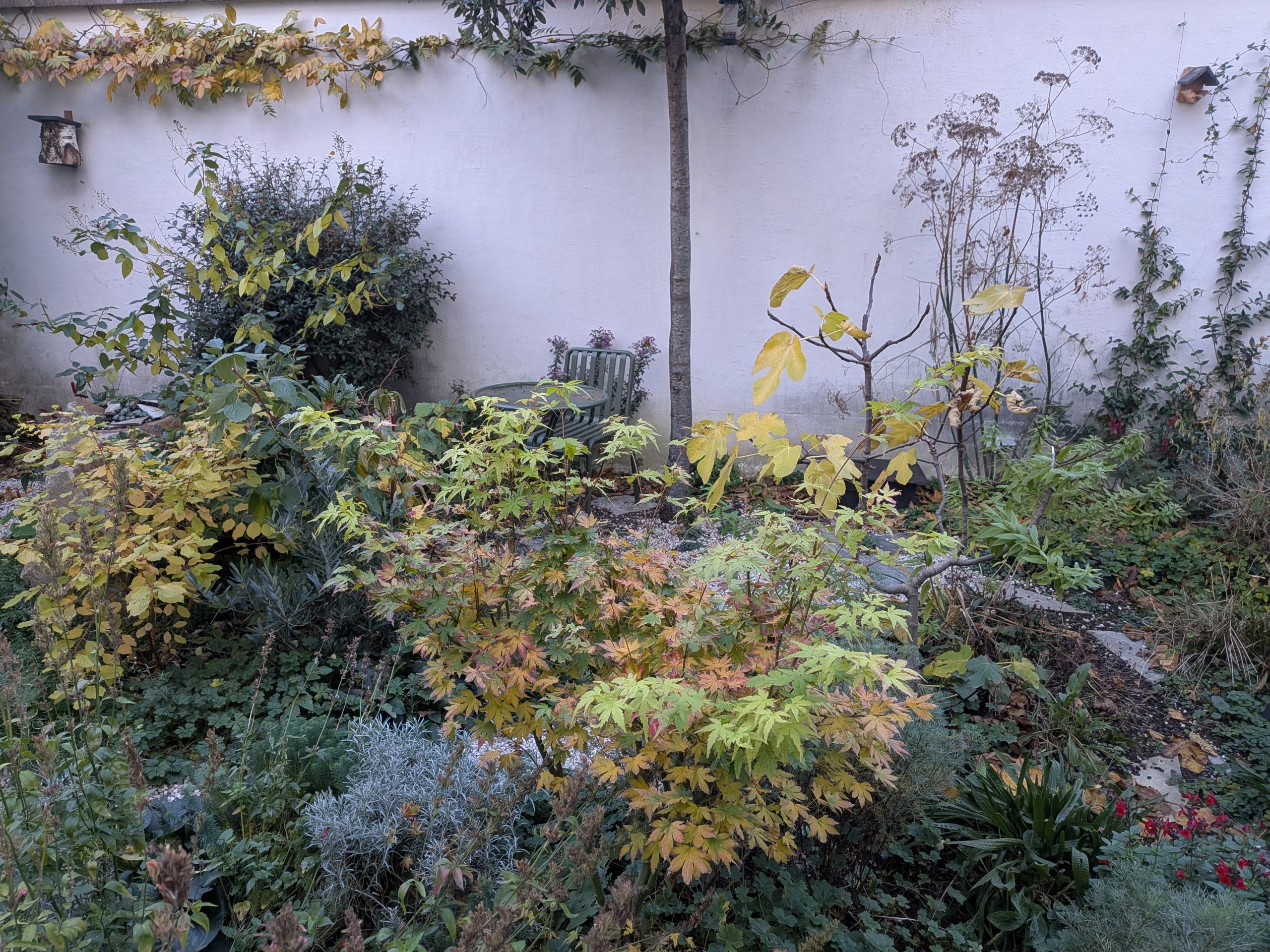 PXL_20251112_094420833