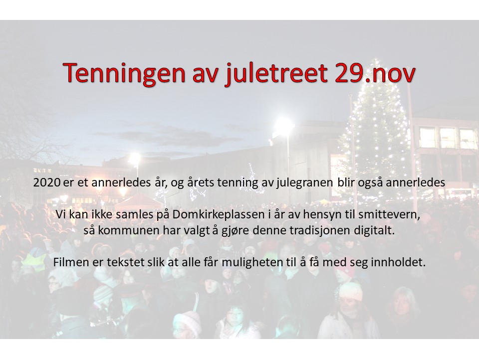 Digital tenning av julegranen 29.nov