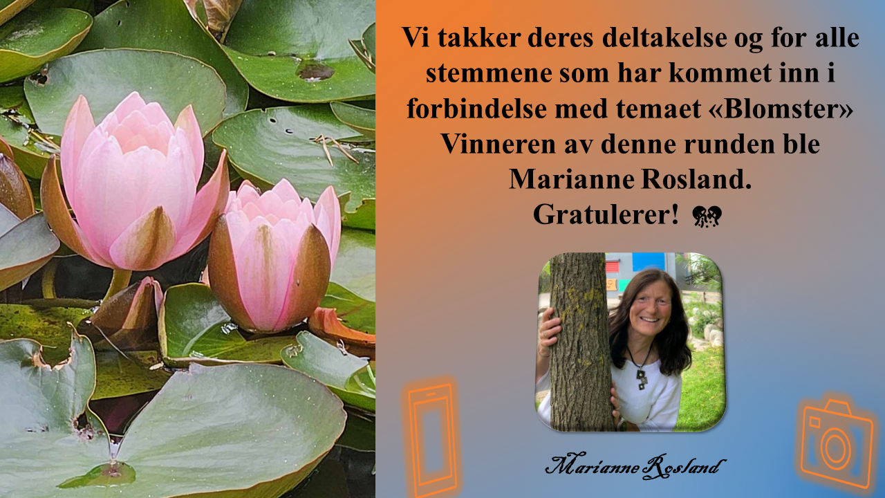 Fotokonkurranse vinneren