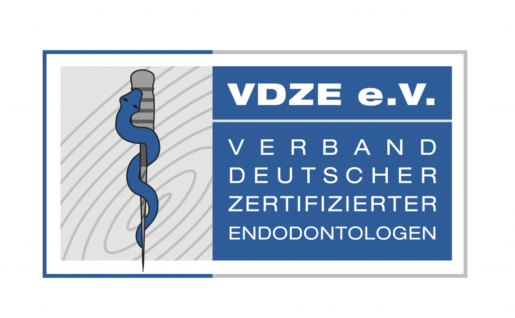 VDZE Logo