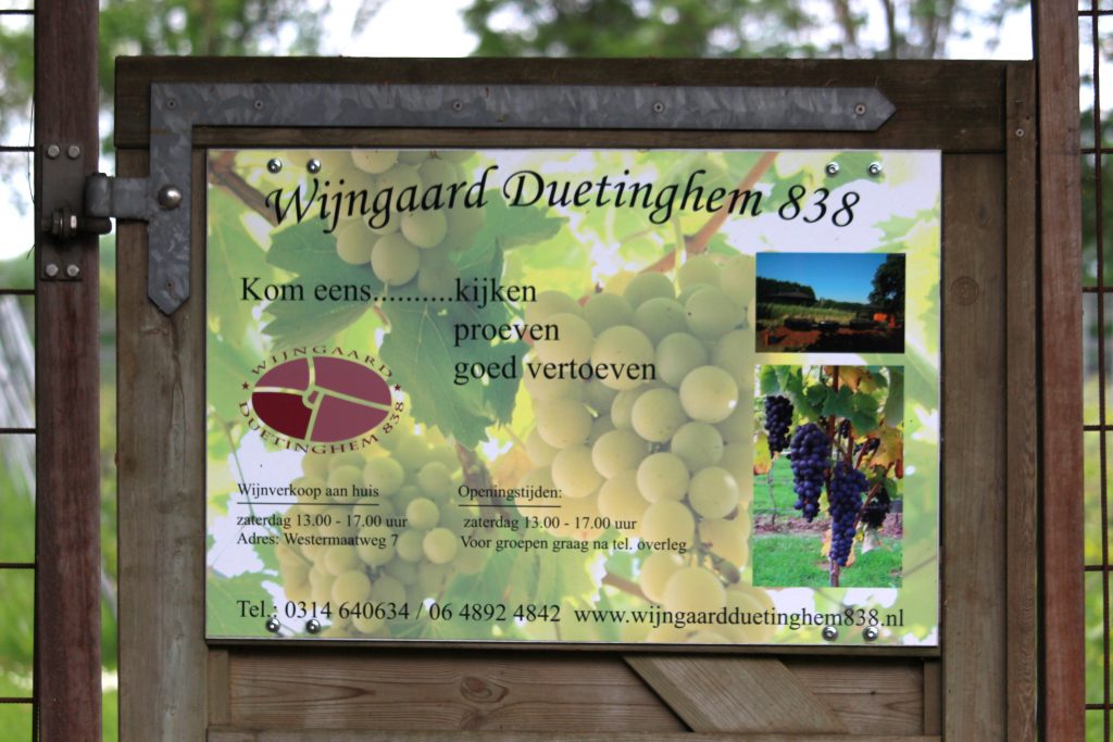 Wijngaard Duetinghem 838