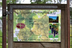 Wijngaard Duetinghem 838
