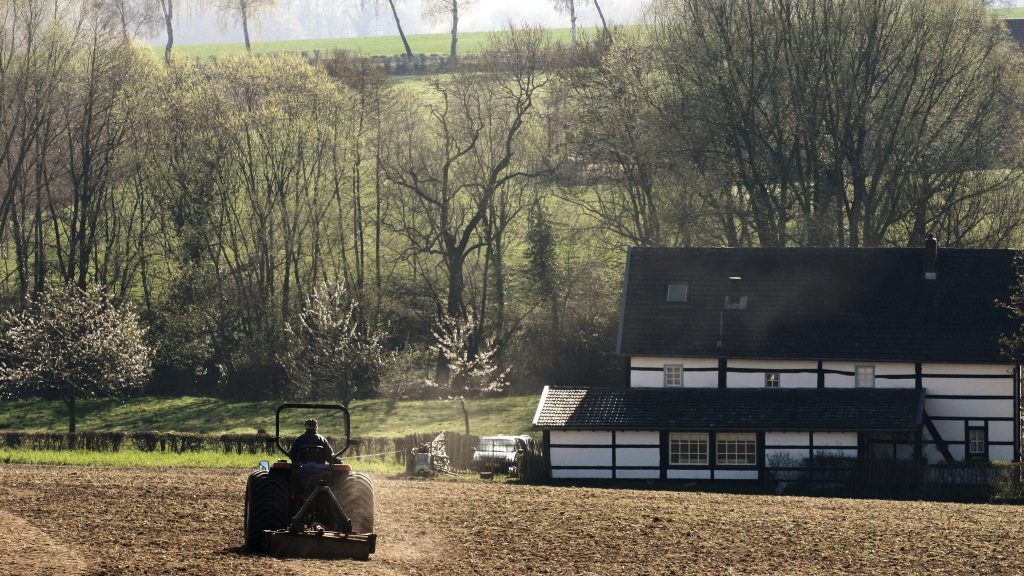 Bodem nederlandse wijngaarden