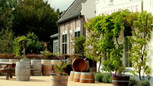 FAQ Nederlandse wijn
