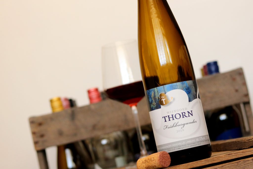 Frühburgunder 2019 Thorn