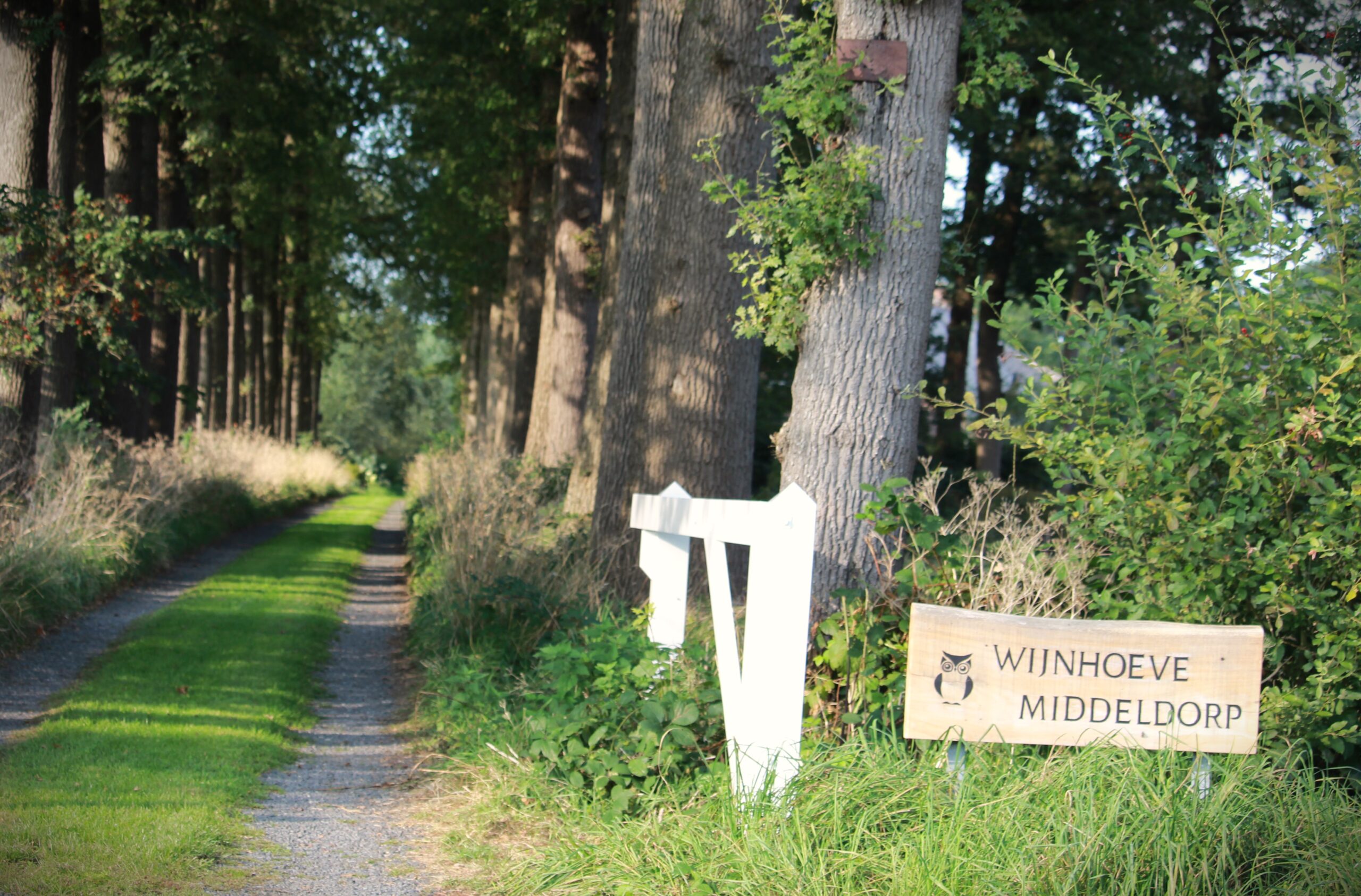 Einde wijnhoeve Middeldorp