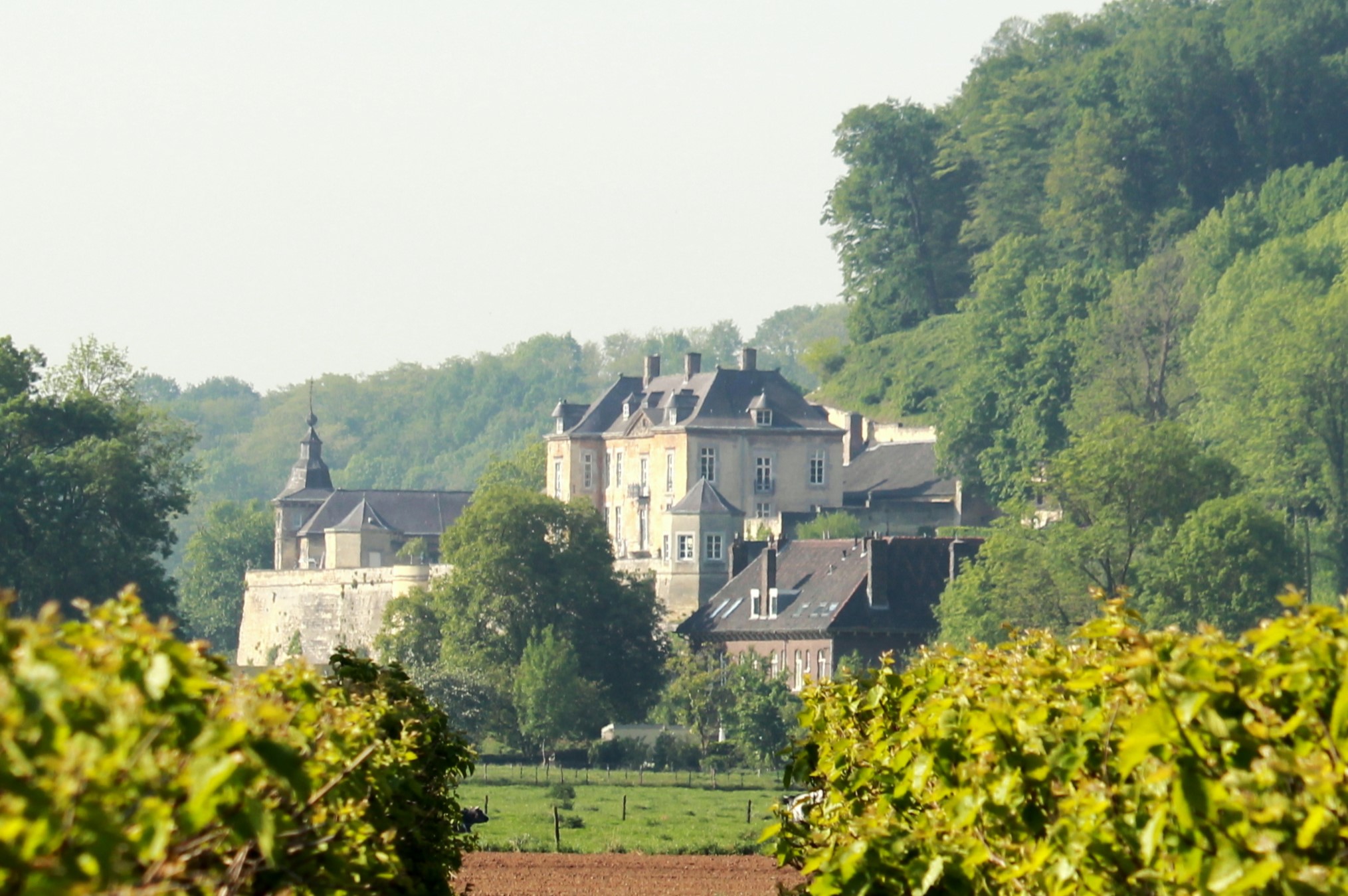 Plannen voor Wine Experience Center springlevend