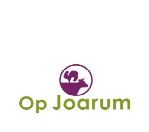 Open Dag Joarum