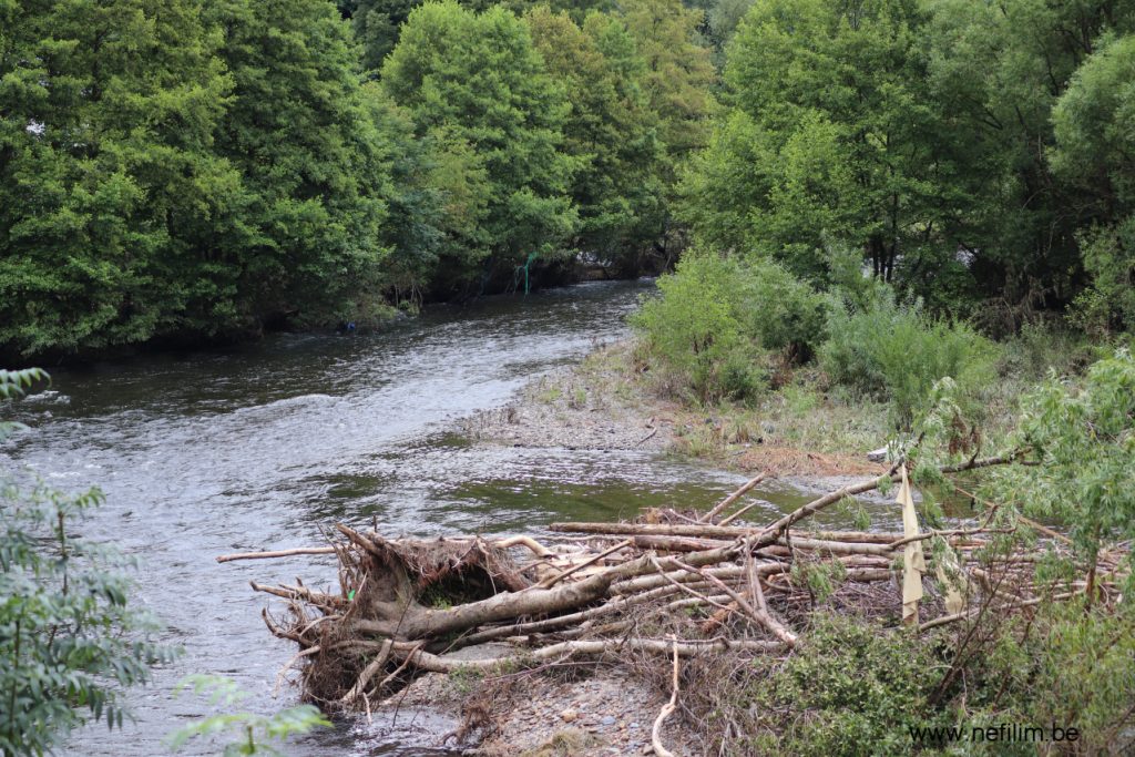 eilandje in ourthe