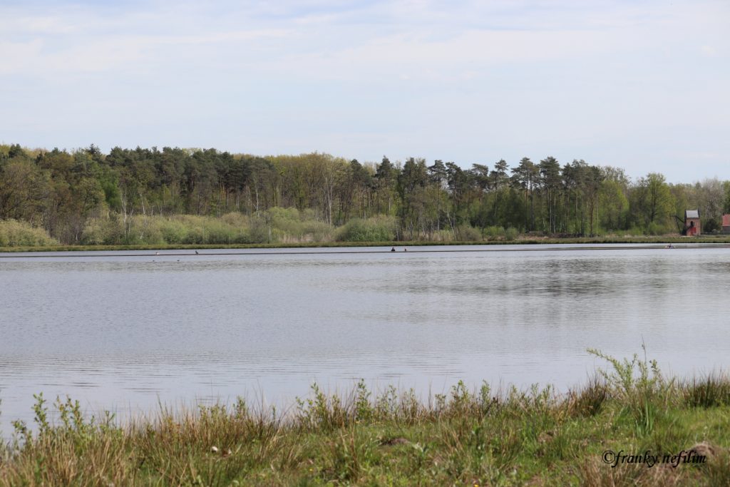 fietsen door het water