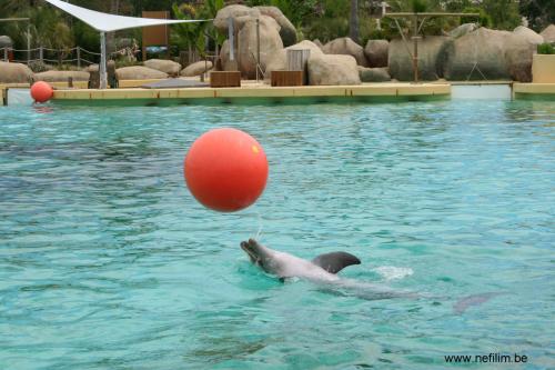 Marineland 16-05-2018-7