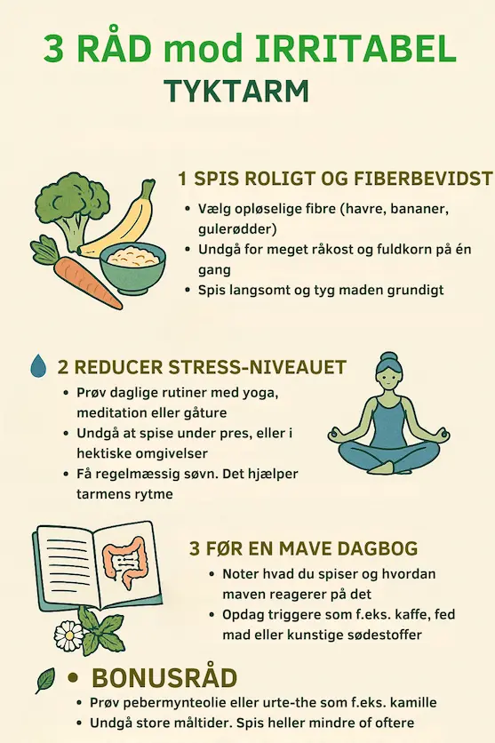 Infografik over 3 af de bedste råd mod irritabel tarmsygdom samt bonusråd til folket
