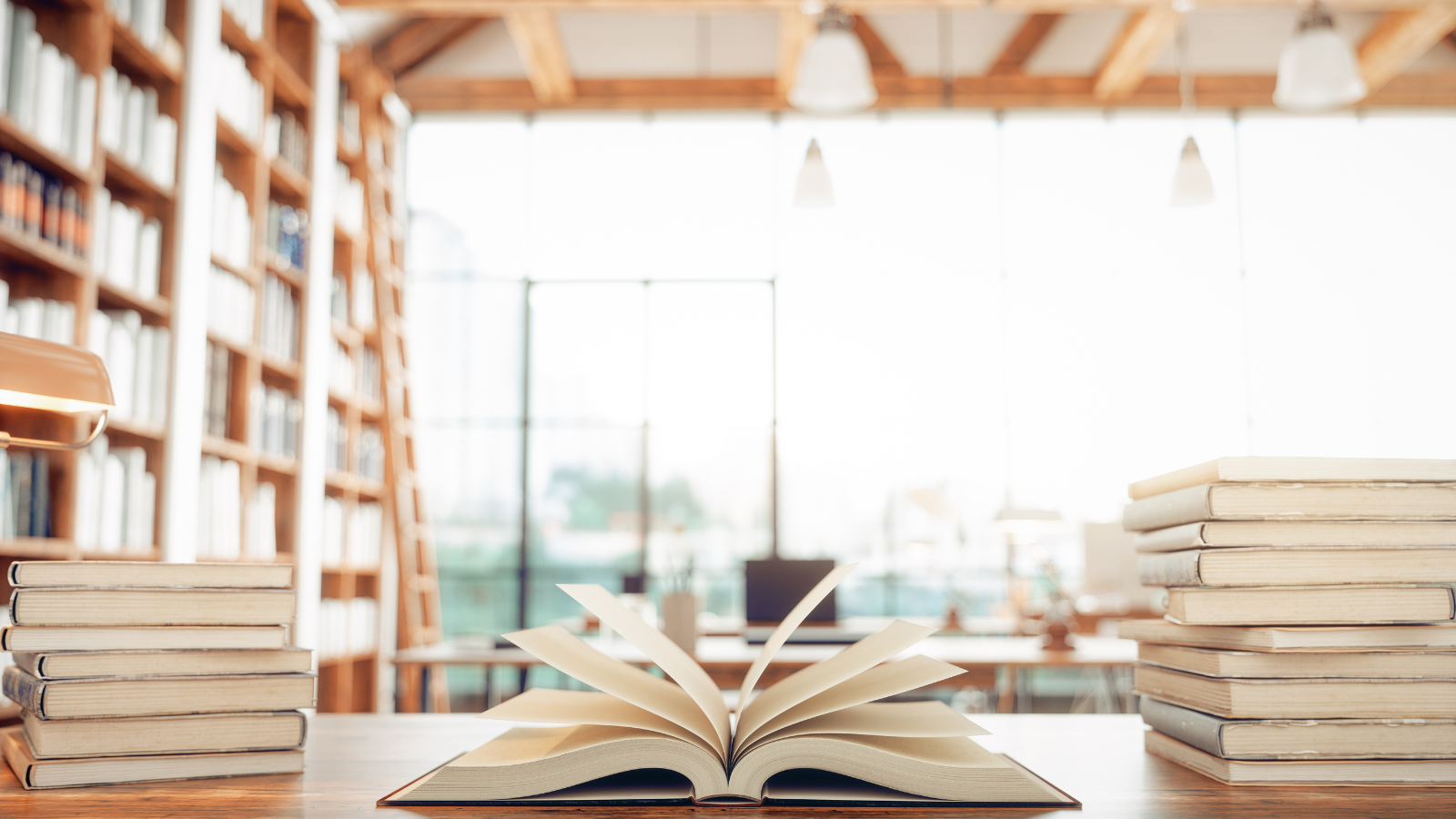 Barndommens bibliotek med guld af bøger og tegneserier