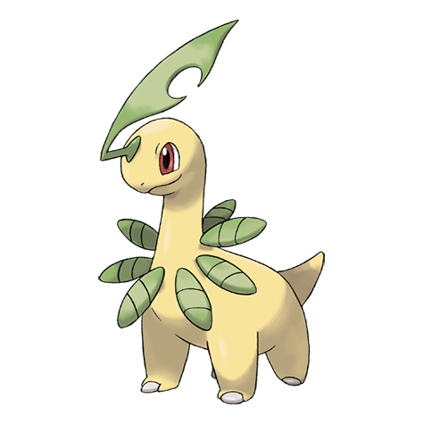 0153 Bayleef