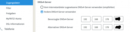 DNS Eingabefenster Fritzbox